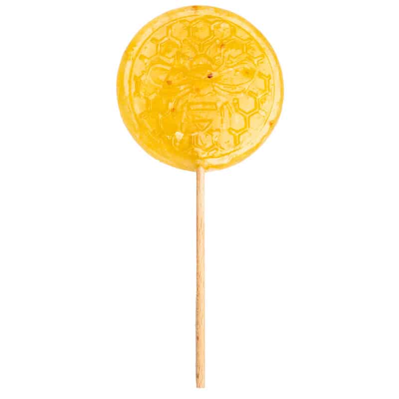 Lollipop Logo Pop Honeybee line